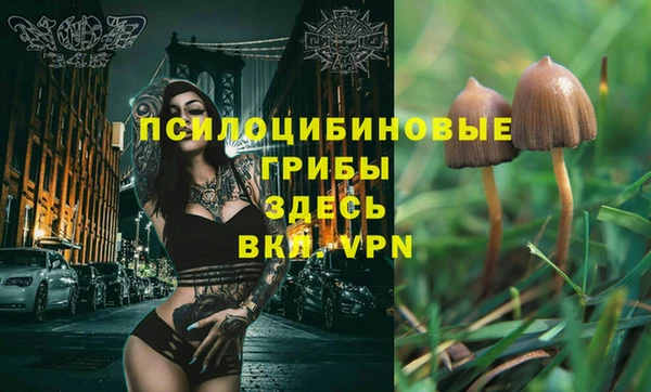 винт Зеленодольск
