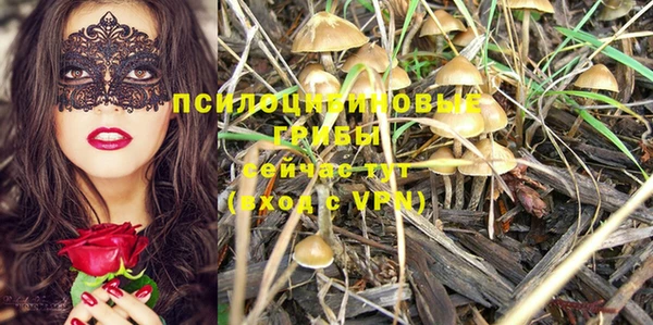 MDMA Алексин