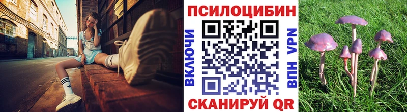 Псилоцибиновые грибы Magic Shrooms  Закаменск 